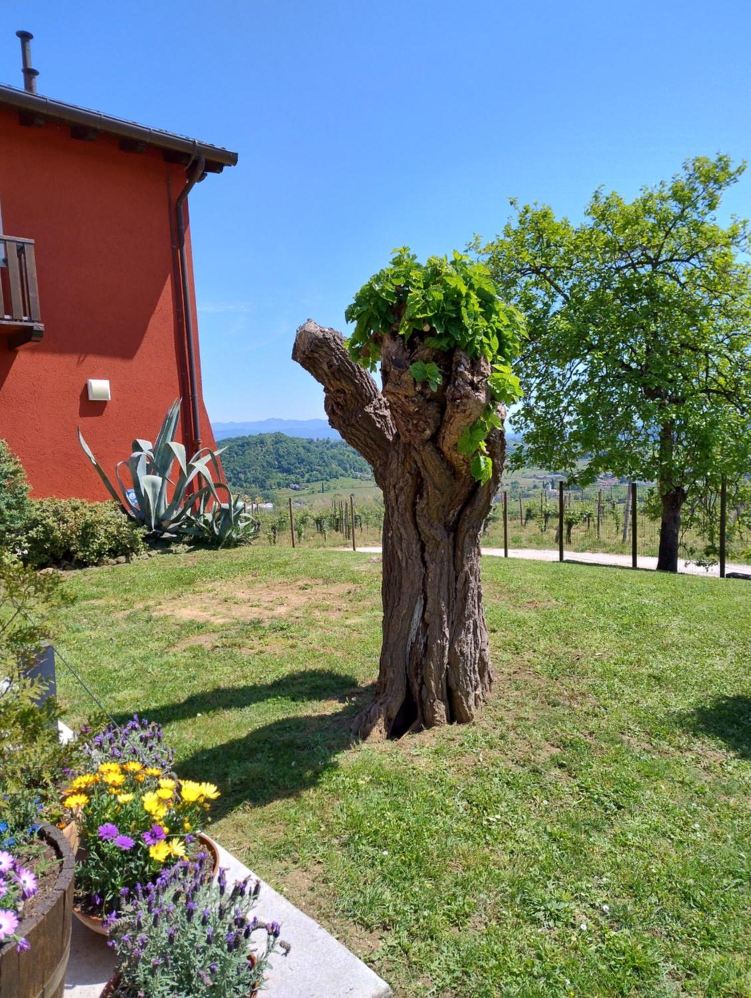 Le Badie Wine Resort Rosazzo المظهر الخارجي الصورة