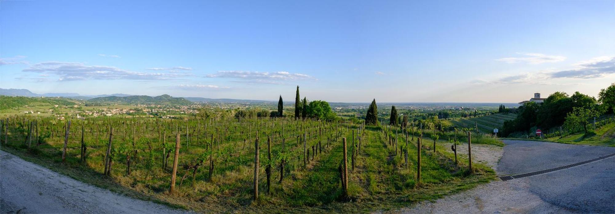 Le Badie Wine Resort Rosazzo المظهر الخارجي الصورة