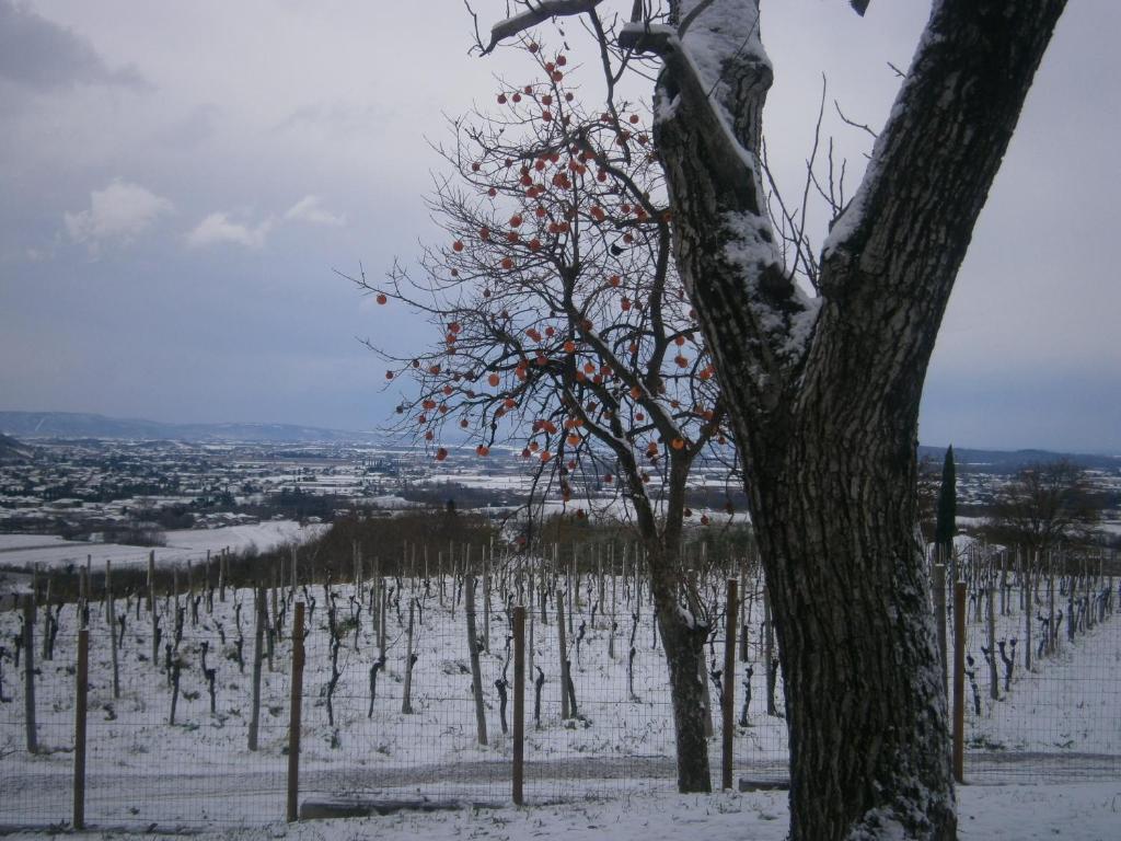 Le Badie Wine Resort Rosazzo المظهر الخارجي الصورة
